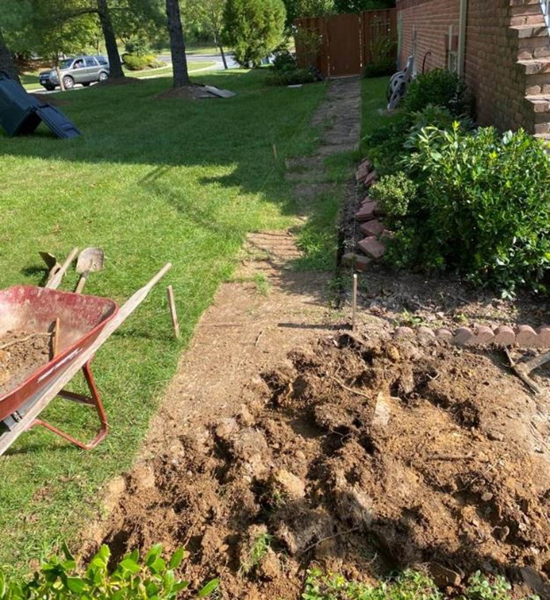 A picture containing grass, outdoor, tree, ground

Description automatically generated